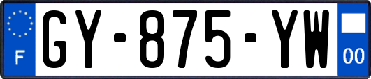 GY-875-YW