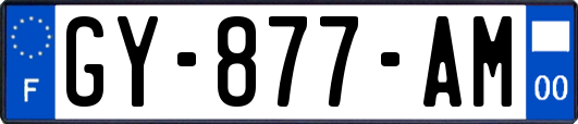 GY-877-AM