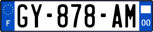 GY-878-AM