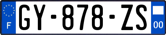 GY-878-ZS