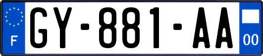GY-881-AA