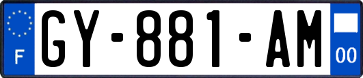 GY-881-AM