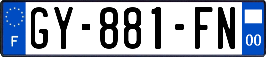 GY-881-FN