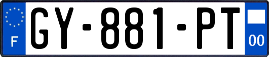 GY-881-PT