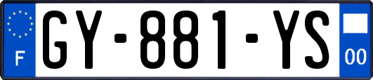GY-881-YS