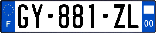 GY-881-ZL