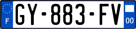 GY-883-FV