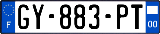 GY-883-PT