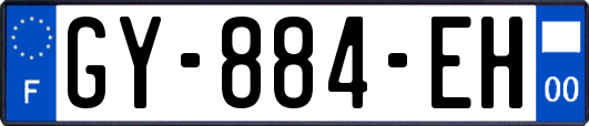 GY-884-EH