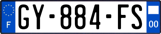GY-884-FS