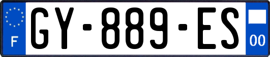 GY-889-ES