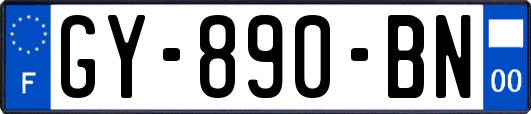 GY-890-BN