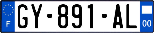 GY-891-AL