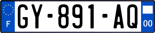 GY-891-AQ