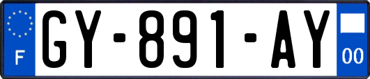 GY-891-AY