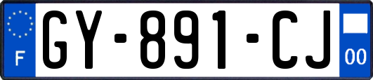 GY-891-CJ