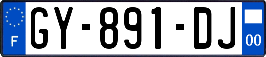 GY-891-DJ