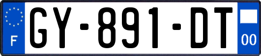 GY-891-DT