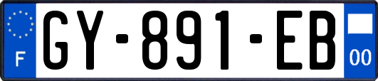 GY-891-EB