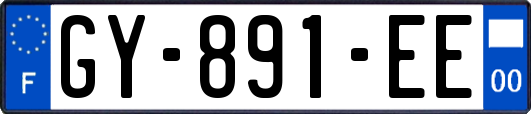 GY-891-EE