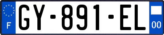 GY-891-EL