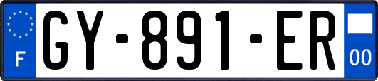 GY-891-ER