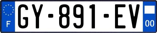 GY-891-EV