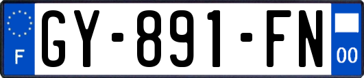 GY-891-FN