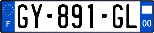 GY-891-GL