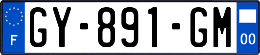 GY-891-GM