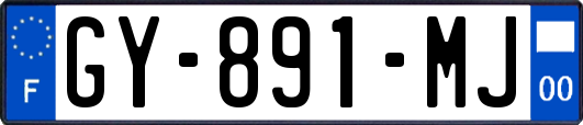 GY-891-MJ