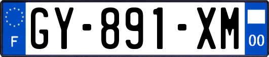 GY-891-XM