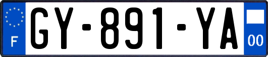 GY-891-YA