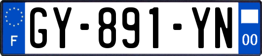 GY-891-YN