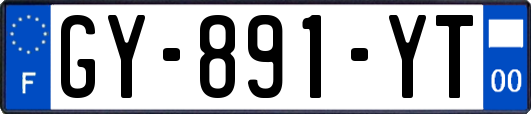GY-891-YT