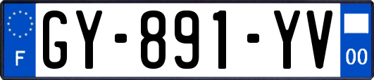 GY-891-YV