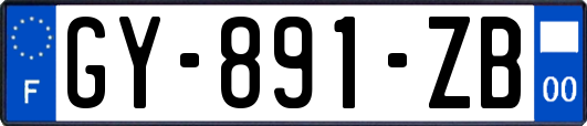 GY-891-ZB