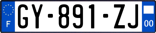 GY-891-ZJ