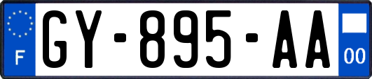 GY-895-AA