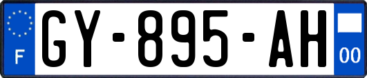 GY-895-AH