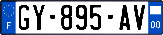 GY-895-AV