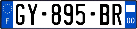 GY-895-BR