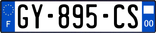 GY-895-CS