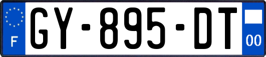 GY-895-DT