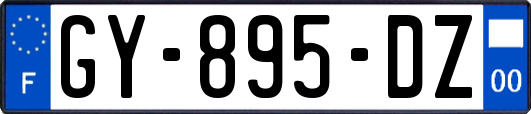 GY-895-DZ