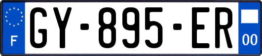 GY-895-ER