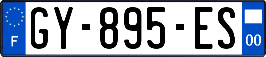 GY-895-ES