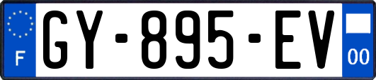 GY-895-EV
