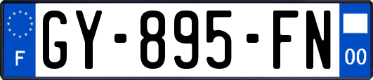 GY-895-FN