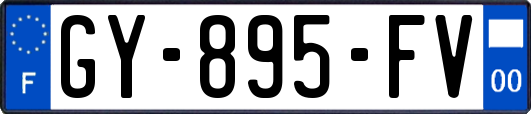 GY-895-FV